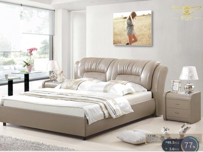 Z268B Bed Frame