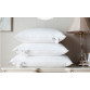 Feather Pillow F1001